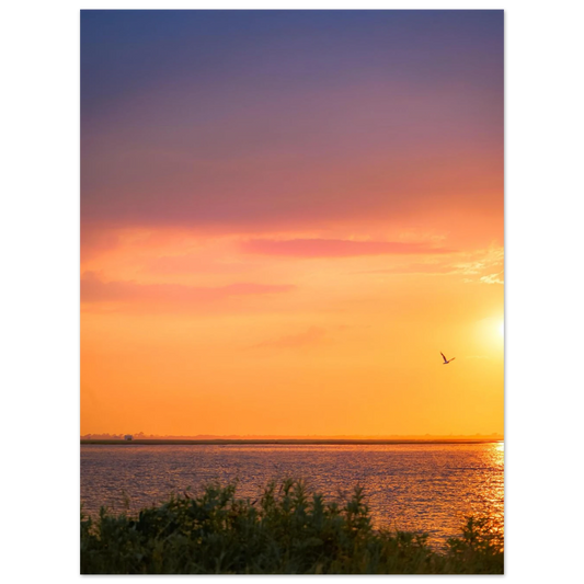 6ae645ef-8904-43d4-9983-0dc88e37dcb2