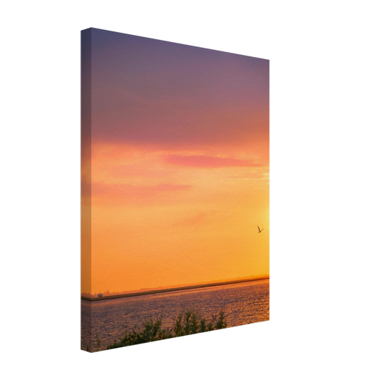 e770efbb-dec8-4bbb-a8ac-9ac4e59fe879