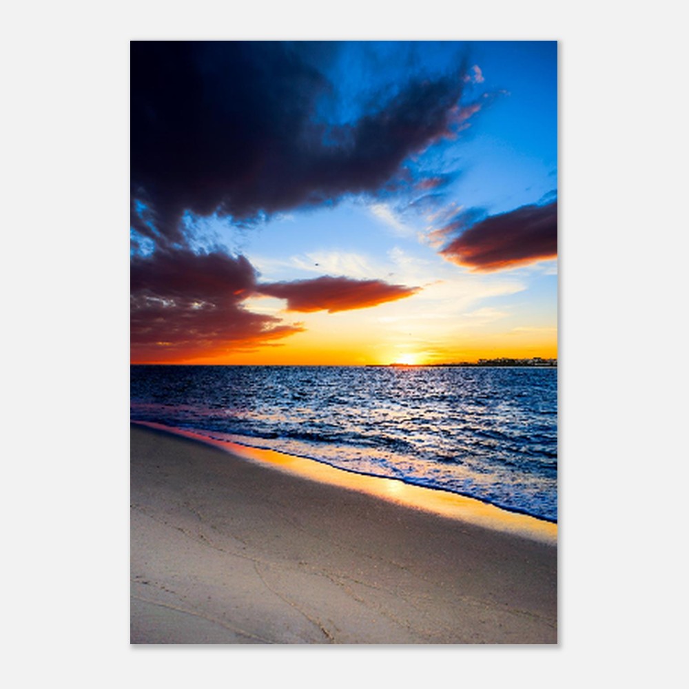 113b185f-3c4e-4233-92fe-6f0b474ea11c