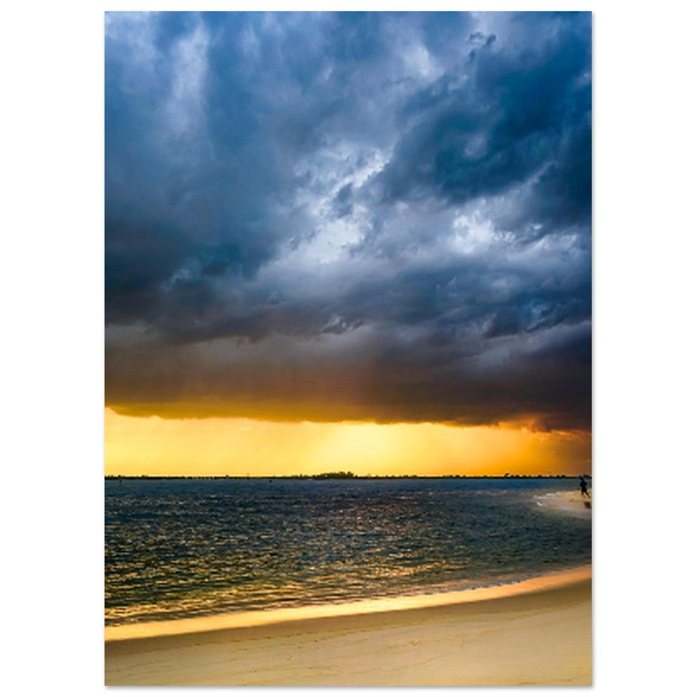 d09b0ab0-cbba-455d-924b-fcf6f622a559