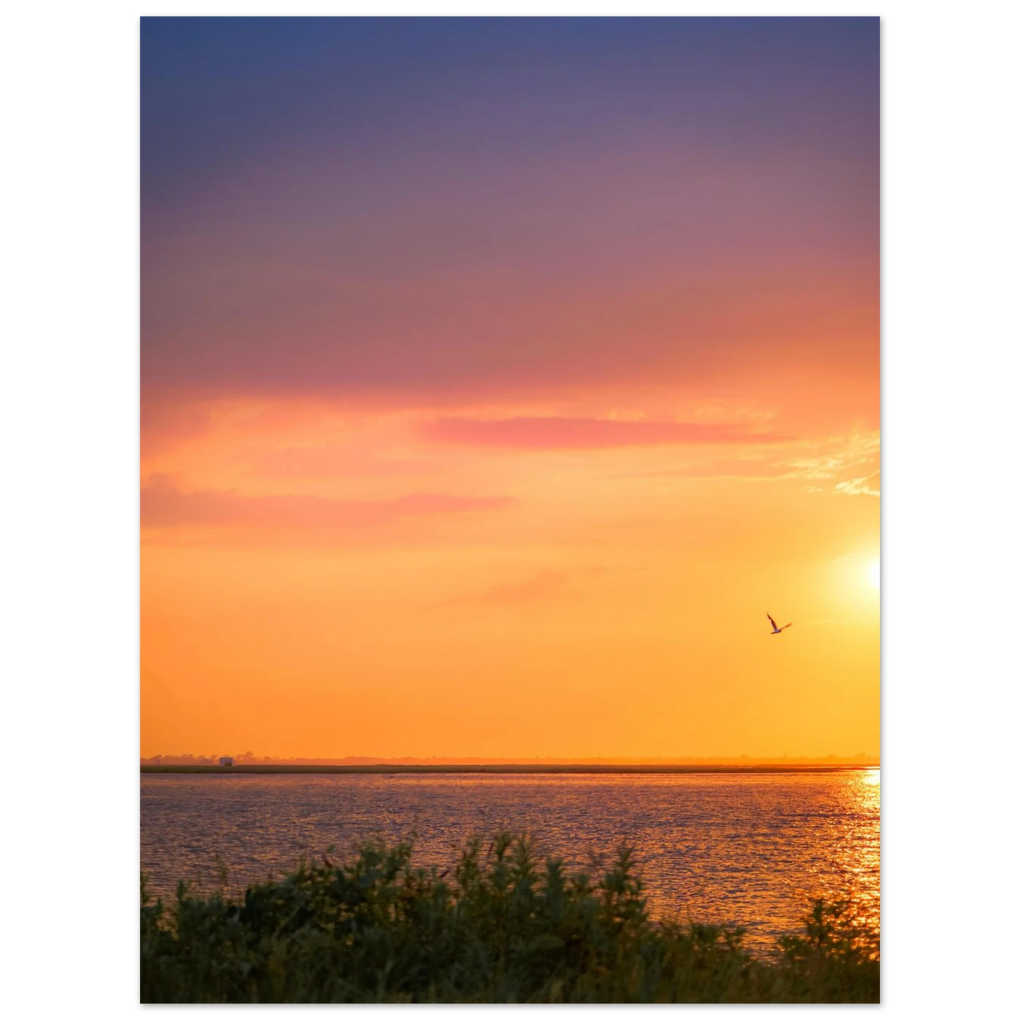 d7616e71-1c21-48e9-9405-726ff331311b